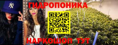 дмт Кинель