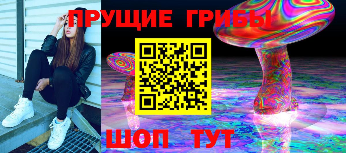 дарнет шоп  Вход с VPN  Королёв  Псилоцибиновые грибы Cubensis 